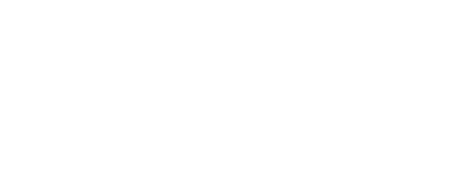 Transilvania Quantum
